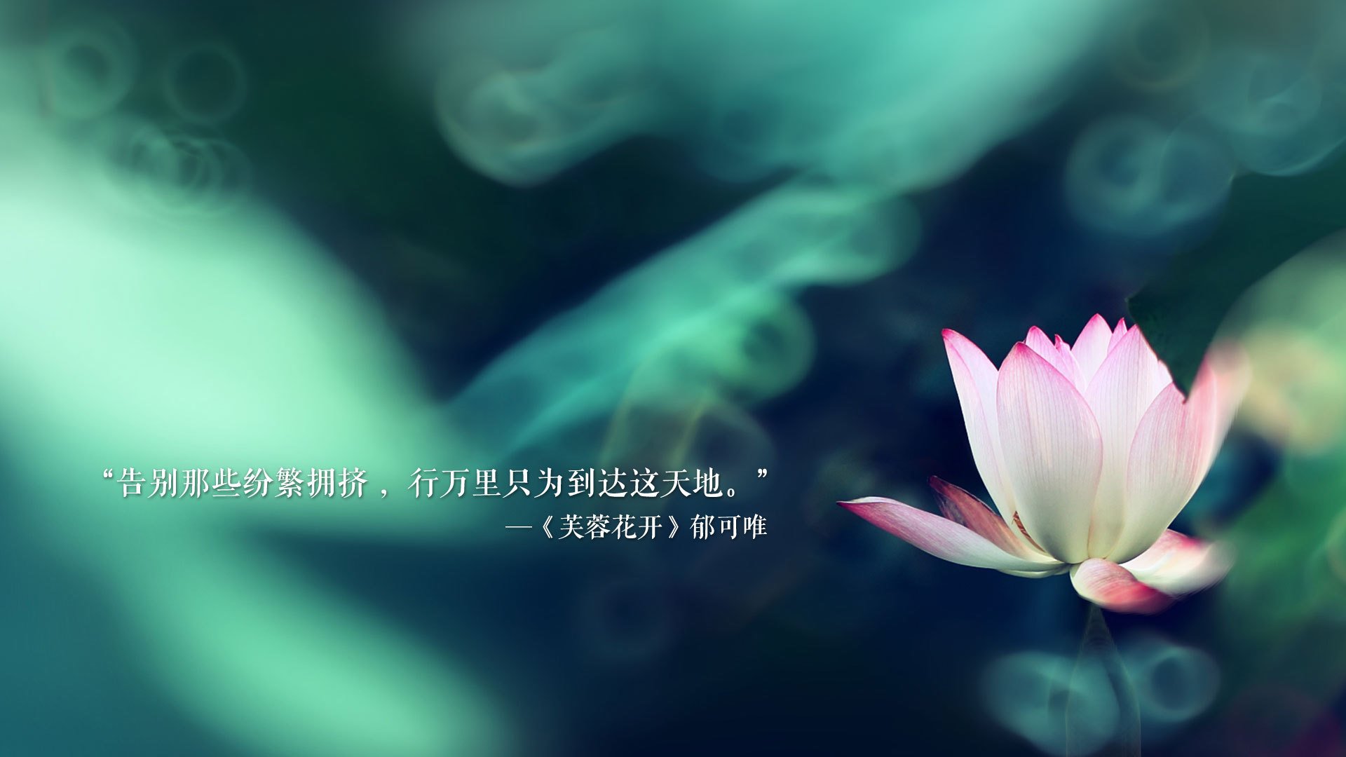【电子裁判首次应用】全场视频判决带来的公正新纪元，电子裁判的优缺点