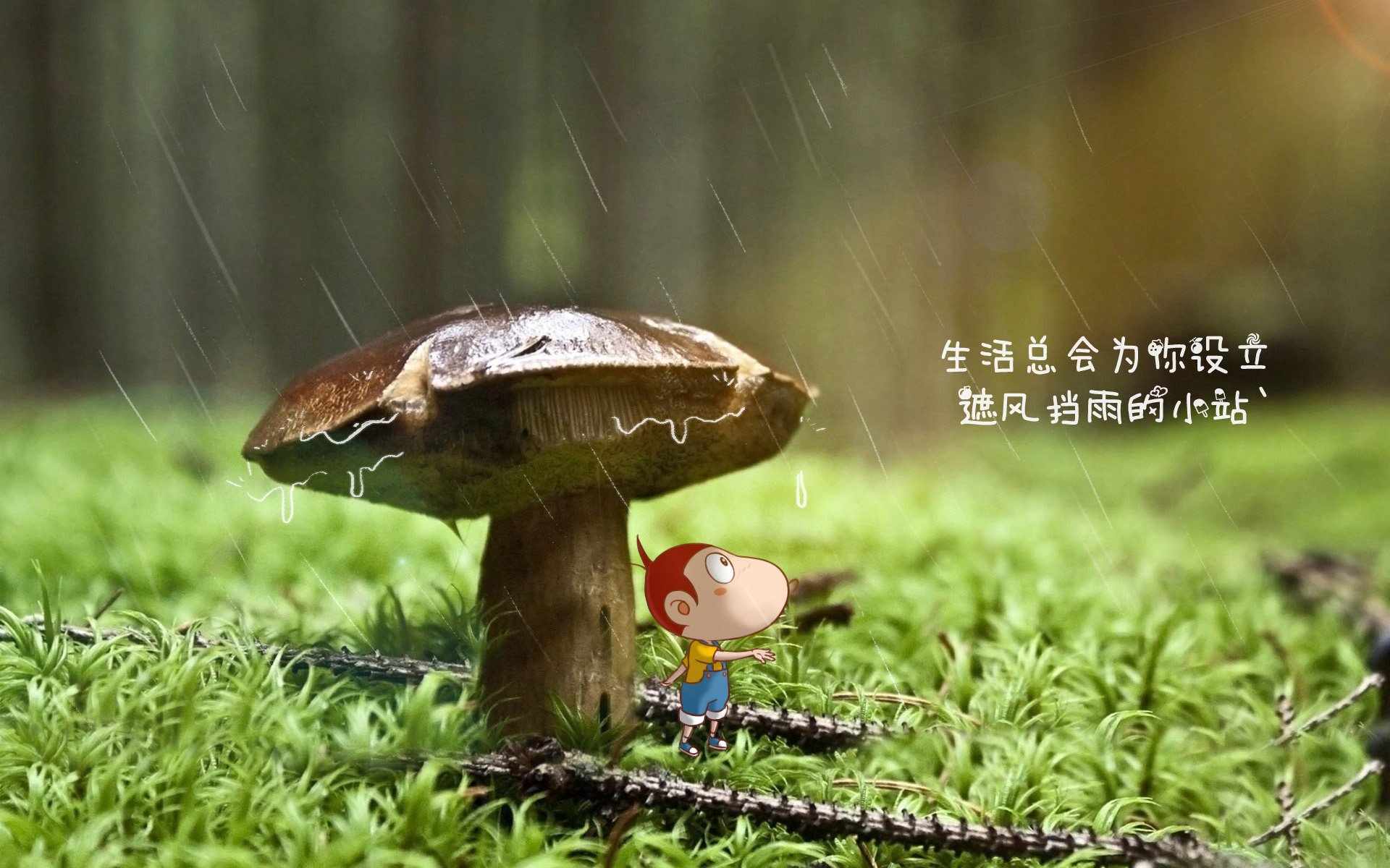 赛马盛事，奔腾马匹展现非凡速度，奔马奔腾