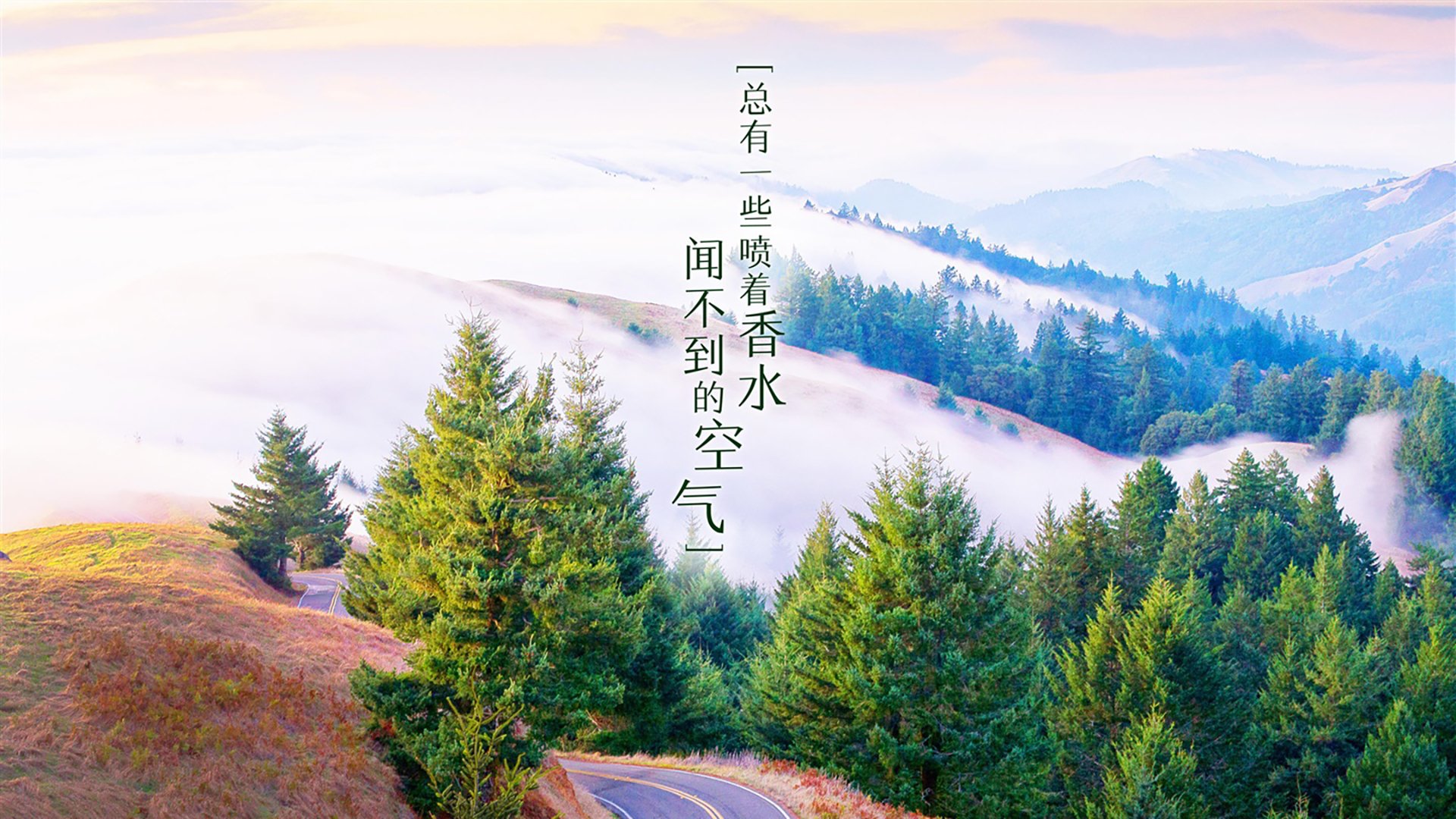 热血搏杀！球员们将争夺胜利的机会，球员比赛