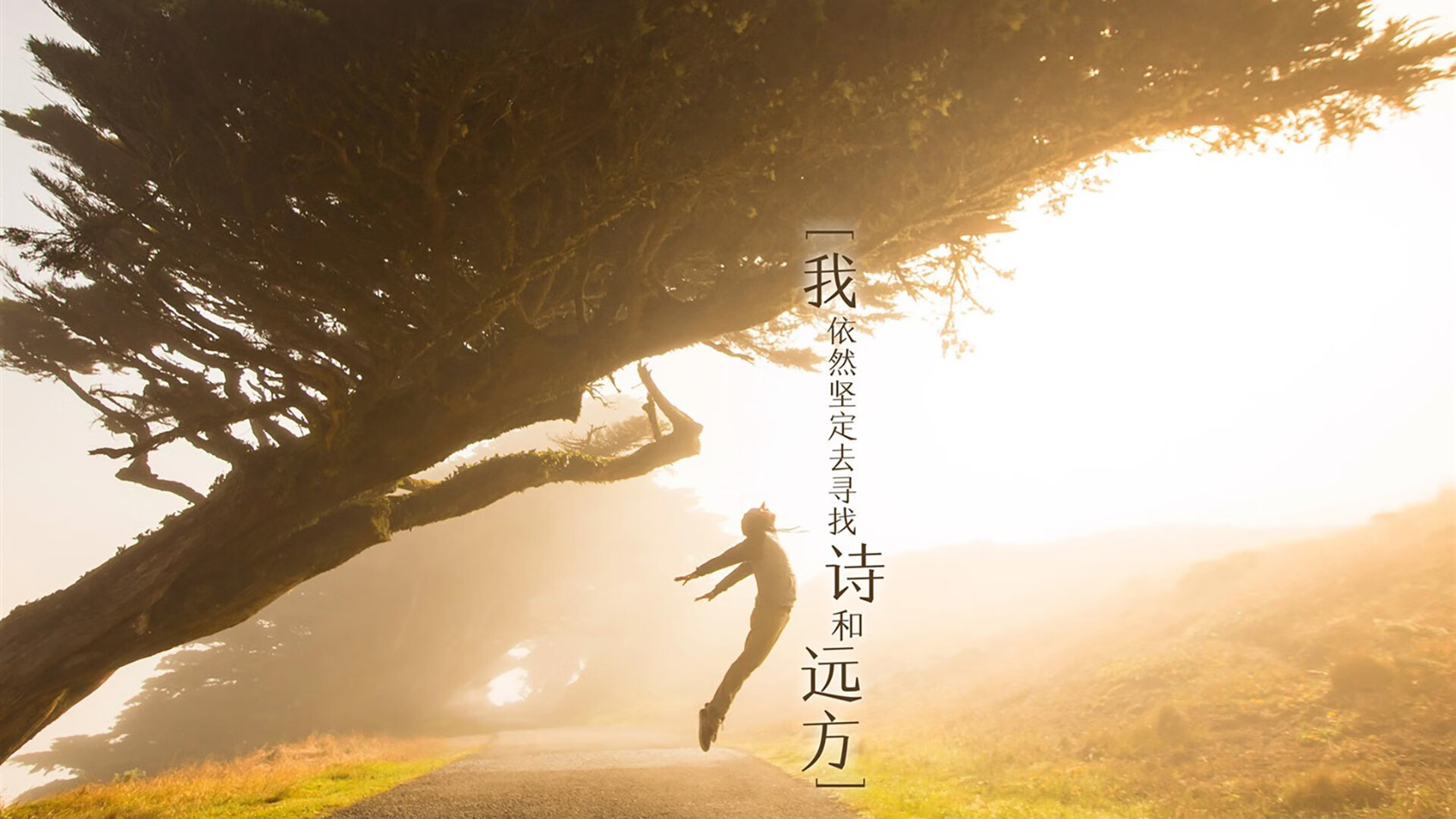 CBA球队投篮训练细化每个环节追求极致，篮球队投篮的训练方法