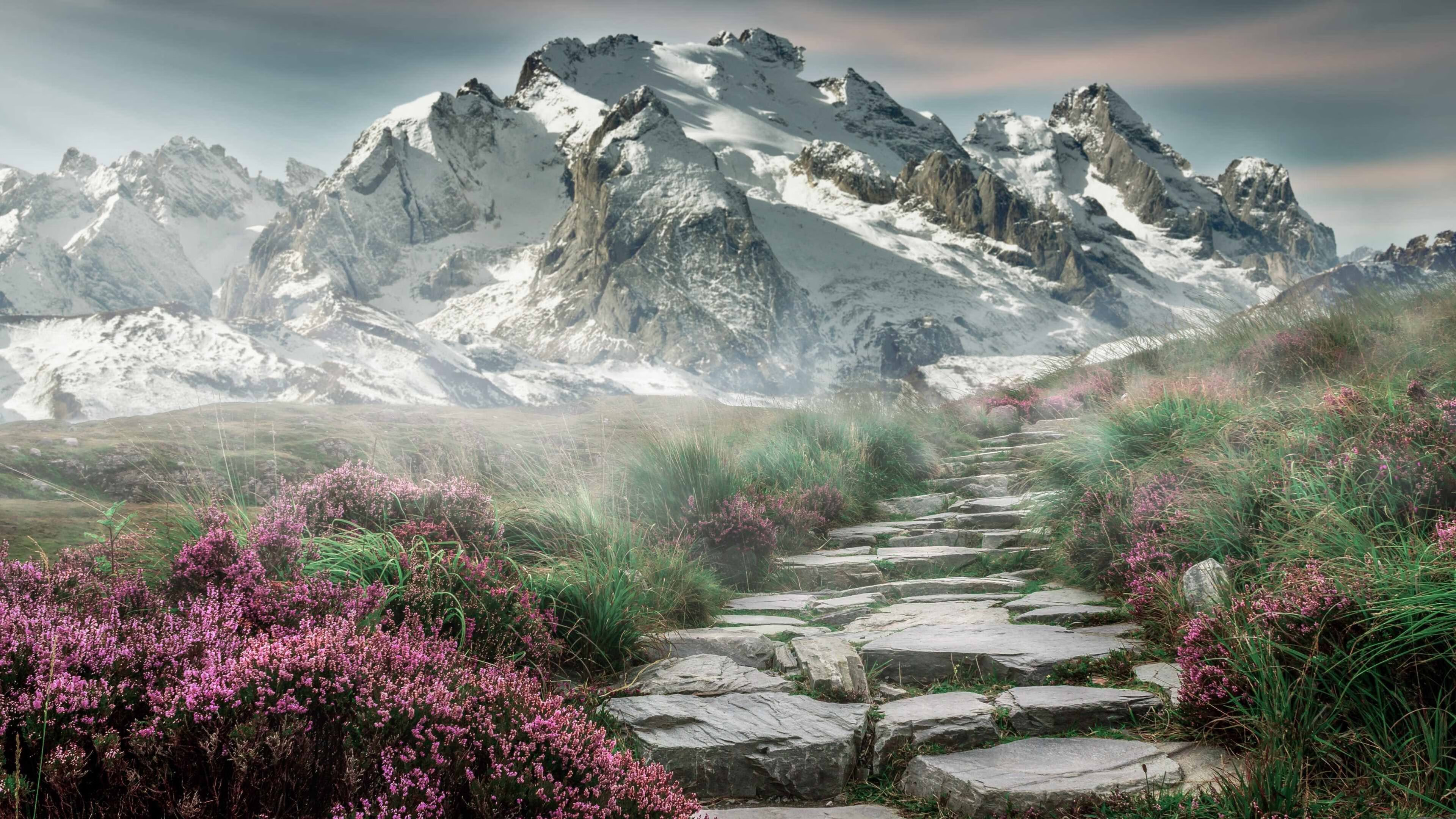 体育公益项目影响力持续扩大，体育公益组织