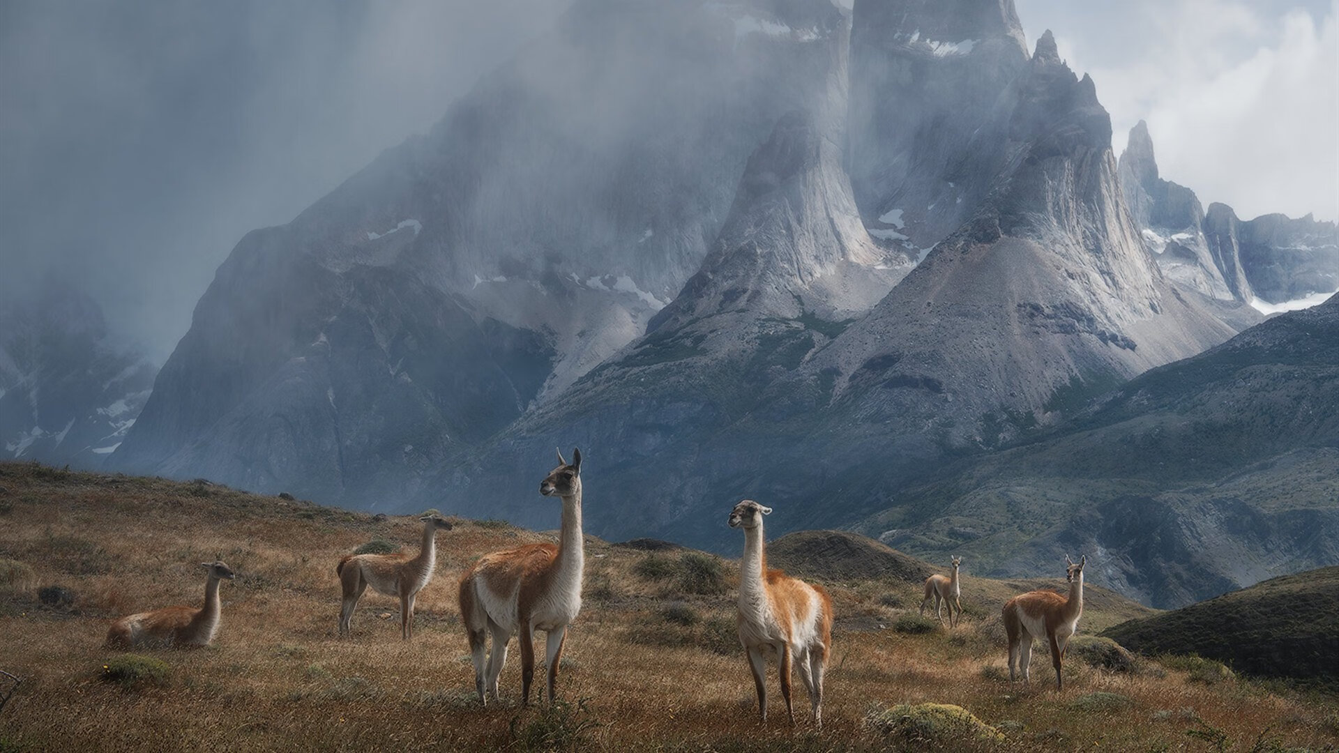 巴西国家队新星闪耀，世界杯预选赛中表现出色